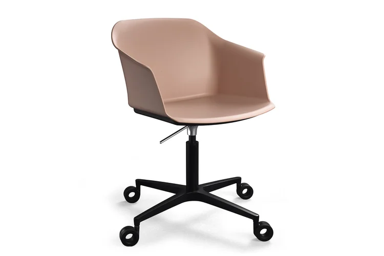 Moli Meeting Rola (1)