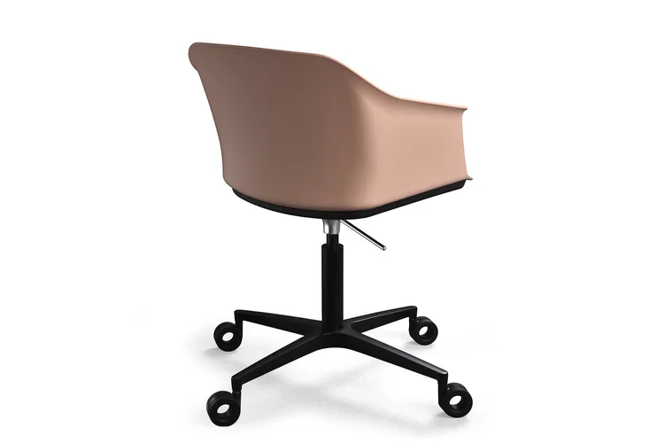 Moli Meeting Rola (2)