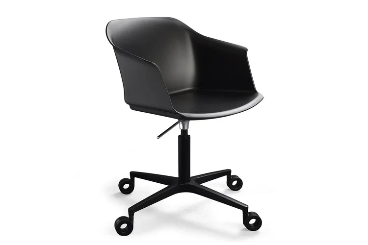 Moli Meeting Rola (3)